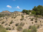 Grupo Mineralógico de Alicante. Alrededores Sierra de las Aguilas. La Alcoraia. Alicante