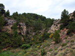 Grupo Mineralógico de Alicante. Barranco de la Escarabehuela y Retamal. Enguidanos / La Pesquera. Cuenca