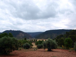 Grupo Mineralógico de Alicante. Barranco de la Escarabehuela y Retamal. Enguidanos / La Pesquera. Cuenca