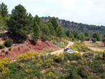 Grupo Mineralógico de Alicante. Barranco de la Escarabehuela y Retamal. Enguidanos / La Pesquera. Cuenca