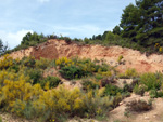 Grupo Mineralógico de Alicante. Barranco de la Escarabehuela y Retamal. Enguidanos / La Pesquera. Cuenca