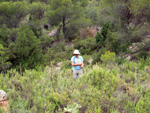 Grupo Mineralógico de Alicante. Barranco de la Escarabehuela y Retamal. Enguidanos / La Pesquera. Cuenca 