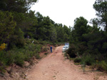 Grupo Mineralógico de Alicante. Barranco de la Escarabehuela y Retamal. Enguidanos / La Pesquera. Cuenca 