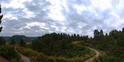 Grupo Mineralógico de Alicante. Barranco de la Escarabehuela y Retamal. Enguidanos / La Pesquera. Cuenca