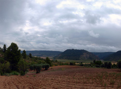 Grupo Mineralógico de Alicante. Barranco de la Escarabehuela y Retamal. Enguidanos / La Pesquera. Cuenca