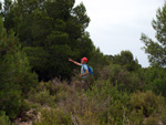 Grupo Mineralógico de Alicante. Mina Virgen del Pilar. La Sabinilla. Campo Arcis. Requena. Valencia