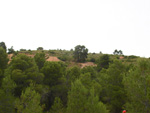 Grupo Mineralógico de Alicante. Mina Virgen del Pilar. La Sabinilla. Campo Arcis. Requena. Valencia