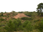 Grupo Mineralógico de Alicante. Mina Virgen del Pilar. La Sabinilla. Campo Arcis. Requena. Valencia