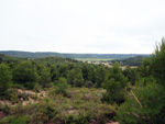 Grupo Mineralógico de Alicante. Mina Virgen del Pilar. La Sabinilla. Campo Arcis. Requena. Valencia