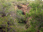 Grupo Mineralógico de Alicante. Mina Virgen del Pilar. La Sabinilla. Campo Arcis. Requena. Valencia