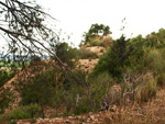 Grupo Mineralógico de Alicante. Mina Virgen del Pilar. La Sabinilla. Campo Arcis. Requena. Valencia