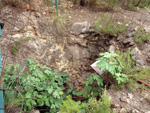 Grupo Mineralógico de Alicante. Mina Virgen del Pilar. La Sabinilla. Campo Arcis. Requena. Valencia