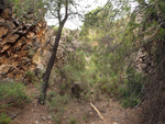 Grupo Mineralógico de Alicante. Mina Virgen del Pilar. La Sabinilla. Campo Arcis. Requena. Valencia