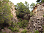 Grupo Mineralógico de Alicante. Mina Virgen del Pilar. La Sabinilla. Campo Arcis. Requena. Valencia