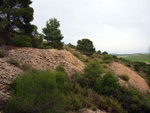 Grupo Mineralógico de Alicante. Mina Virgen del Pilar. La Sabinilla. Campo Arcis. Requena. Valencia