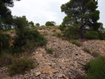 Grupo Mineralógico de Alicante. Mina Virgen del Pilar. La Sabinilla. Campo Arcis. Requena. Valencia