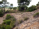 Grupo Mineralógico de Alicante. Mina Virgen del Pilar. La Sabinilla. Campo Arcis. Requena. Valencia