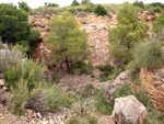 Grupo Mineralógico de Alicante. Mina Virgen del Pilar. La Sabinilla. Campo Arcis. Requena. Valencia