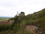 Grupo Mineralógico de Alicante. Mina Virgen del Pilar. La Sabinilla. Campo Arcis. Requena. Valencia