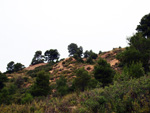 Grupo Mineralógico de Alicante.Mina Virgen del Pilar. La Sabinilla. Campo Arcis. Requena. Valencia 