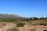 Grupo Mineralógico de Alicante. Trias de Els Campellets. Castalla Internacional. Castalla. Alicante