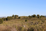 Grupo Mineralógico de Alicante. Trias de Els Campellets. Castalla Internacional. Castalla. Alicante