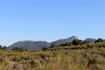 Grupo Mineralógico de Alicante. Trias de Els Campellets. Castalla Internacional. Castalla. Alicante