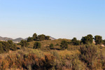 Grupo Mineralógico de Alicante. Trias de Els Campellets. Castalla Internacional. Castalla. Alicante