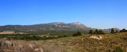 Grupo Mineralógico de Alicante. Trias de Els Campellets. Castalla Internacional. Castalla. Alicante