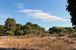 Grupo Mineralógico de Alicante. Trias alrededores de Castalla. Castalla. Alicante