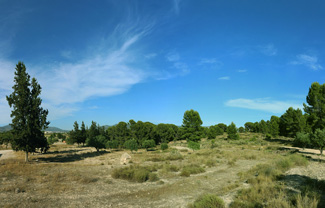 Grupo Mineralógico de Alicante. Trias alrededores de Castalla. Castalla. Alicante