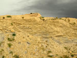 Grupo Mineralógico de Alicante. Canteras de arcilla situadas en la Zona del Pla, junto a la siera de los Tajos. Agost. Alicante