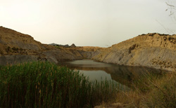 Grupo Mineralógico de Alicante. Canteras de arcilla situadas en la Zona del Pla, junto a la siera de los Tajos. Agost. Alicante