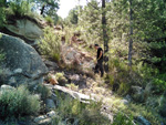 Grupo Mineralógico de Alicante. Mina San Antonio. Paraje Guiscanera. Paterna de madera. Albacete