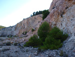 Grupo Mineralógico de Alicante. Cantera del Port. Biar. Alicante