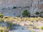 Grupo Mineralógico de Alicante.Cantera del Port. Biar. Alicante 