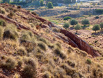 Grupo Mineralógico de Alicante. Loma Badá. Petrer. Alicante   