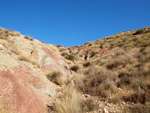 Grupo Mineralógico de Alicante. Loma Badá. Petrer. Alicante   