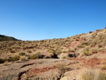 Grupo Mineralógico de Alicante. Loma Badá. Petrer. Alicante   