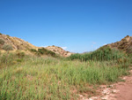 Grupo Mineralógico de Alicante. Loma Badá. Petrer. Alicante   