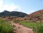 Grupo Mineralógico de Alicante. Loma Badá. Petrer. Alicante   