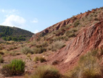 Grupo Mineralógico de Alicante. Loma Badá. Petrer. Alicante   