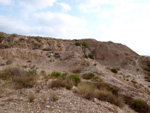 Grupo Mineralógico de Alicante. Gravera Santa Eulalia. La Cabezuelas. Totana. Murcia