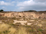 Grupo Mineralógico de Alicante. Gravera Santa Eulalia. La Cabezuelas. Totana. Murcia