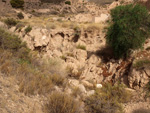 Grupo Mineralógico de Alicante. Gravera Santa Eulalia. La Cabezuelas. Totana. Murcia