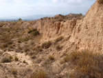 Grupo Mineralógico de Alicante. Gravera Santa Eulalia. La Cabezuelas. Totana. Murcia