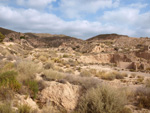 Grupo Mineralógico de Alicante. Gravera Santa Eulalia. La Cabezuelas. Totana. Murcia