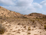 Grupo Mineralógico de Alicante. Gravera Santa Eulalia. La Cabezuelas. Totana. Murcia