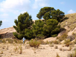 Grupo Mineralógico de Alicante. Gravera Santa Eulalia. La Cabezuelas. Totana. Murcia