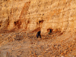 Grupo Mineralógico de Alicante. Gravera del Barquero. Enguera. Valencia